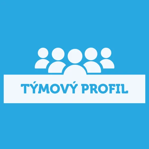Týmový profil jasně a stručně