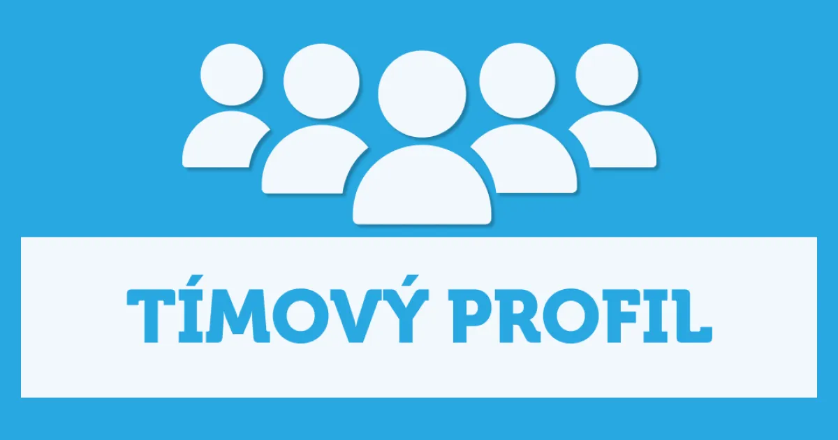 Tímový profil