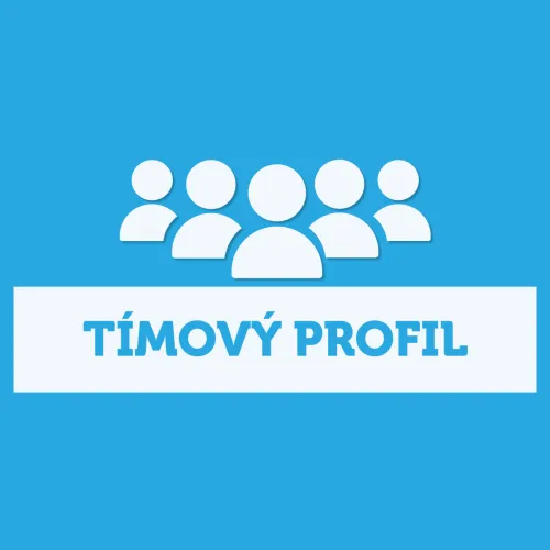  Týmový profil jasně a stručně 